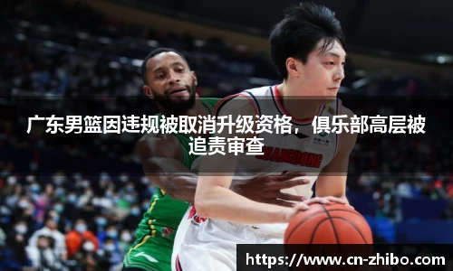 广东男篮因违规被取消升级资格，俱乐部高层被追责审查