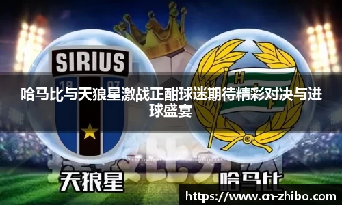 哈马比与天狼星激战正酣球迷期待精彩对决与进球盛宴
